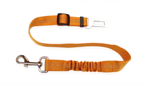 Orange dog safety belt leash with metal clip and carabiner on a white background