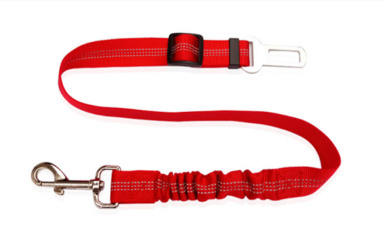 Red dog safety belt with a metal clip on a white background